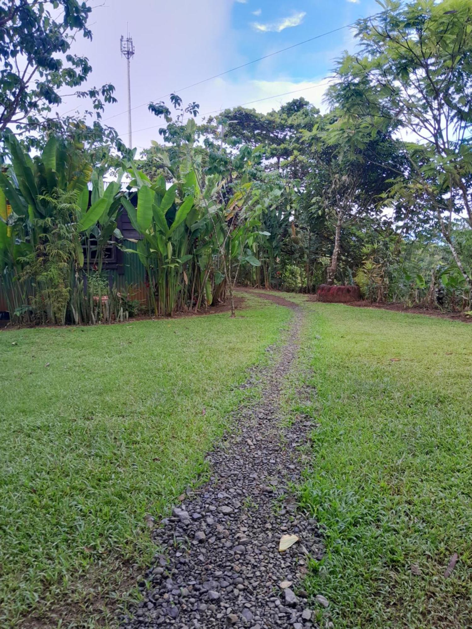 Finca La Puesta Del Sol - Miramar De Sierpe Номер фото