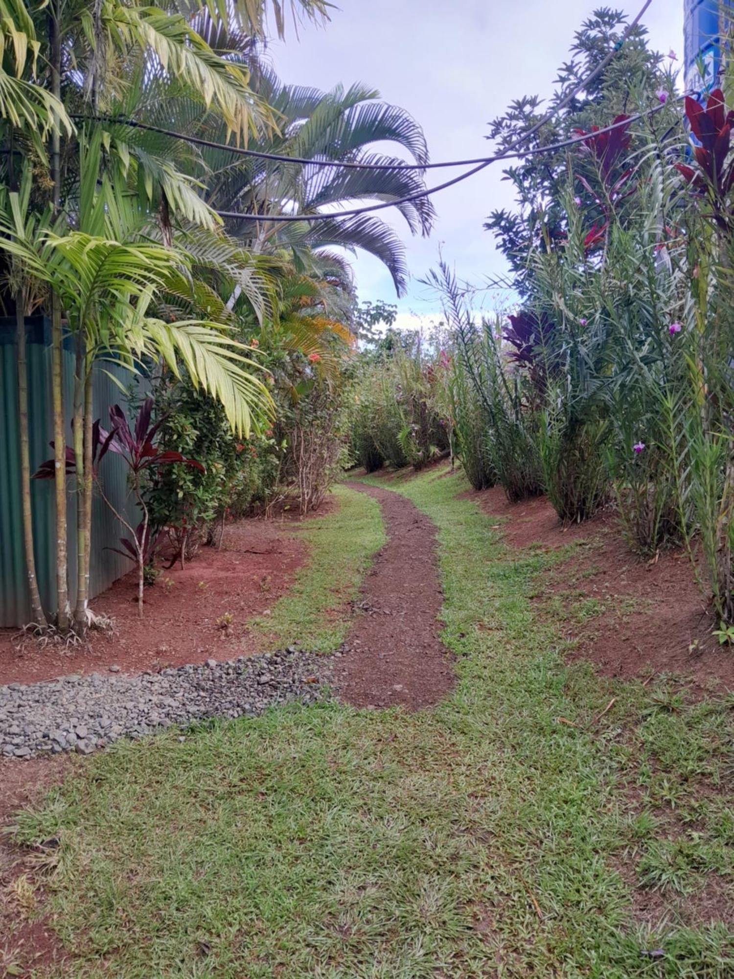 Finca La Puesta Del Sol - Miramar De Sierpe Номер фото