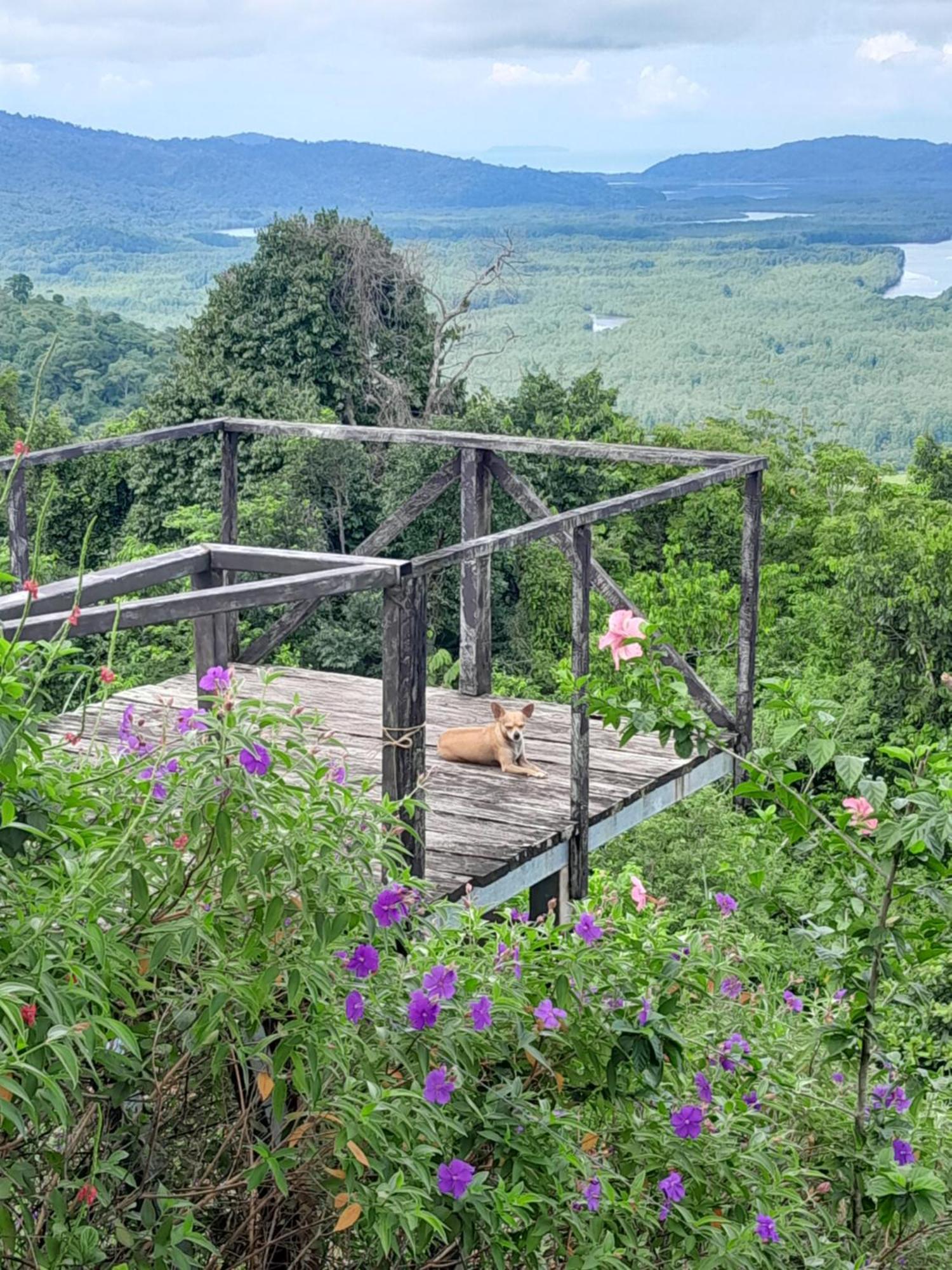 Finca La Puesta Del Sol - Miramar De Sierpe Номер фото