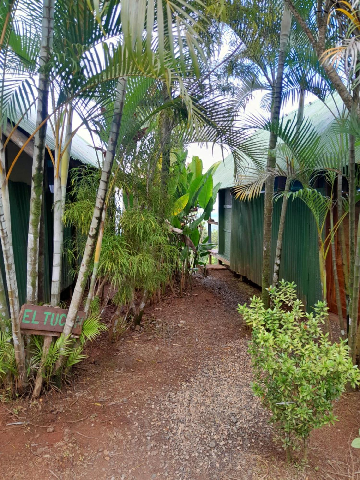 Finca La Puesta Del Sol - Miramar De Sierpe Номер фото