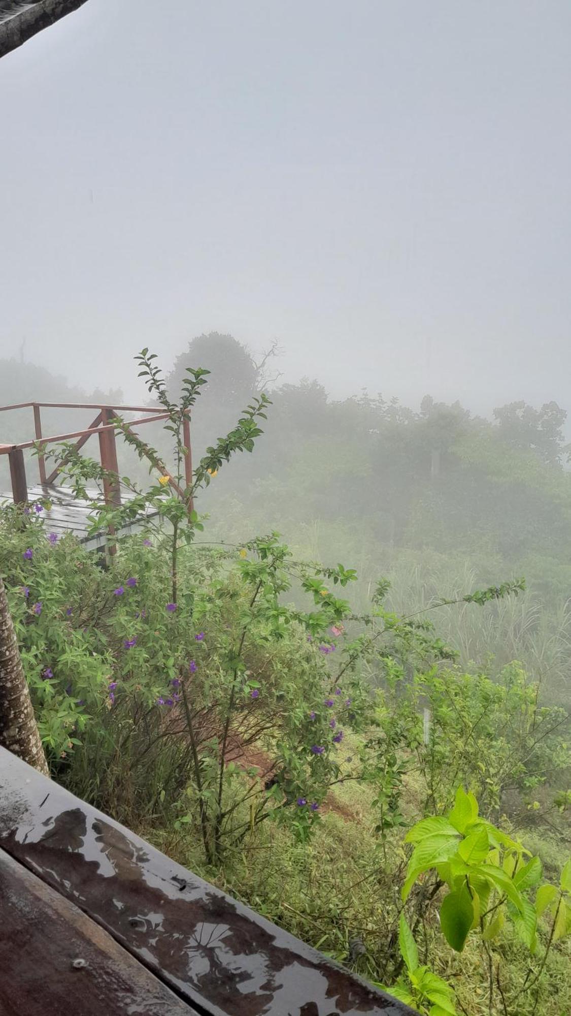 Finca La Puesta Del Sol - Miramar De Sierpe Номер фото